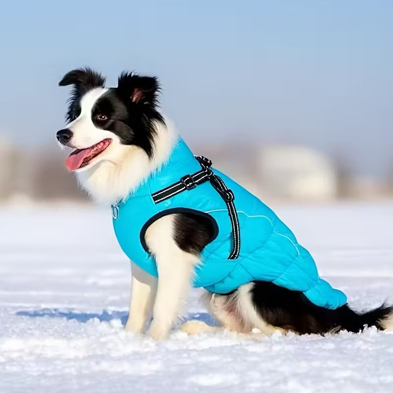 Adjustable Winter Dog Coat β Warm, Waterproof & Reflective