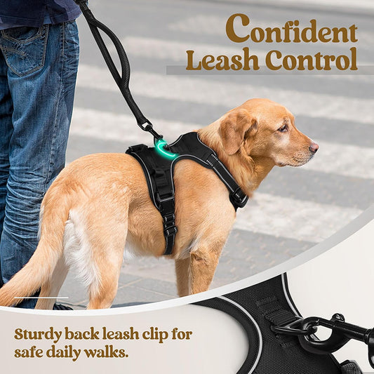 No Pull Dog Harness with A Free Heavy Duty 5ft Dog Leash