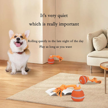 7 Reasons This Smart Interactive Ball Is Changing Dogs’ Lives — Happy, Active & Calm