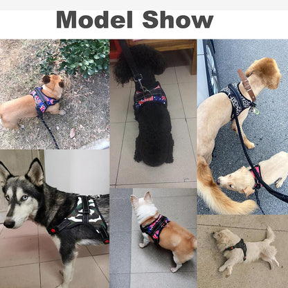 Lightweight Saddle-Style No-Pull Dog Harness
