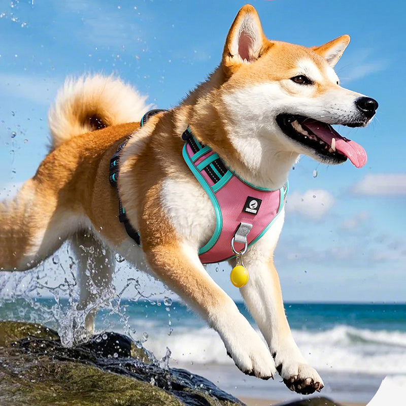 New Upgraded Reflective Soft Mesh Dog Harness - Step-in Anti-Slip Adjustable Padded for Outdoor Walking