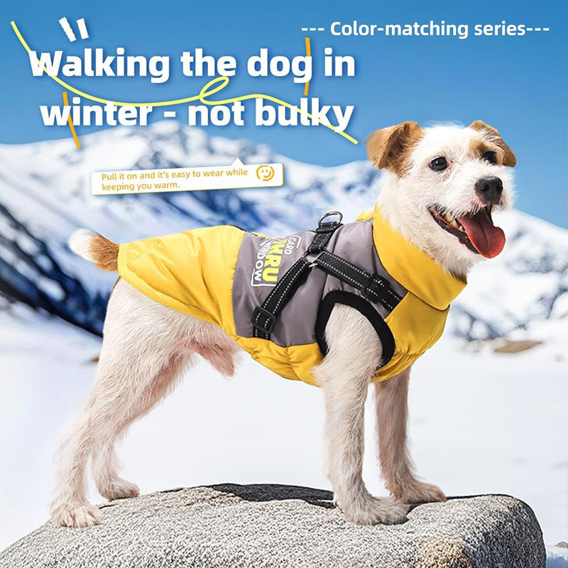 Graphene-Lined Dog Winter Vest – Waterproof, Lightweight & Adjustable Harness Design