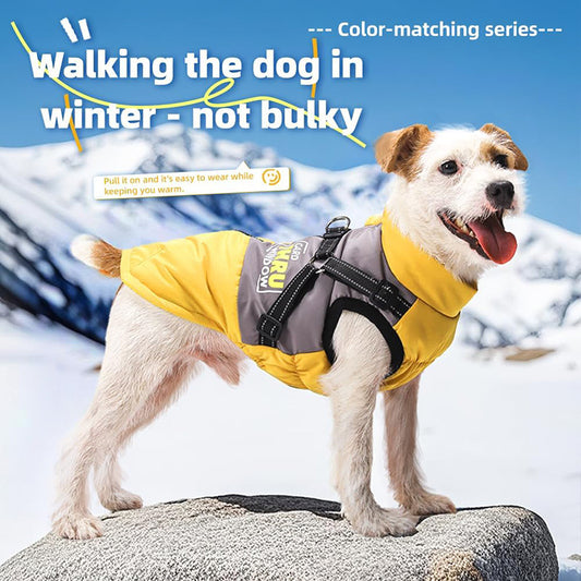 Graphene-Lined Dog Winter Vest – Waterproof, Lightweight & Adjustable Harness Design