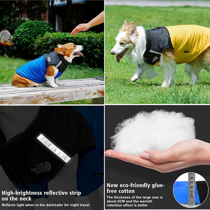 Padded Winter Coat Jacket