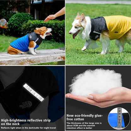 Padded Winter Coat Jacket