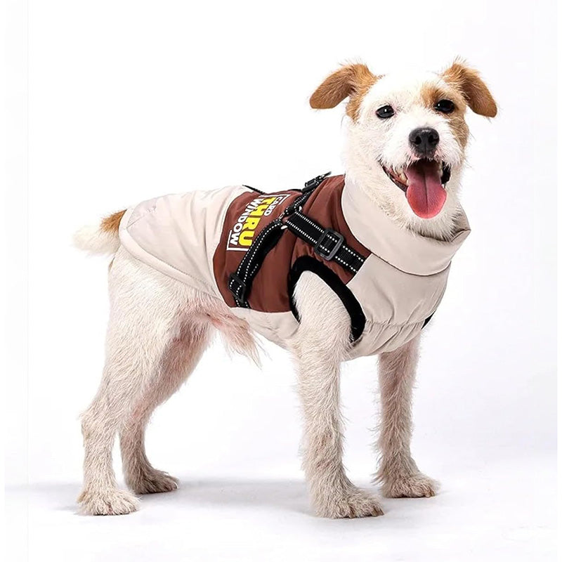 Graphene-Lined Dog Winter Vest – Waterproof, Lightweight & Adjustable Harness Design