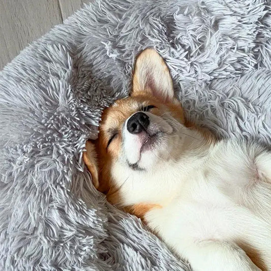 Cozy Anti-Anxiety Pet Bed
