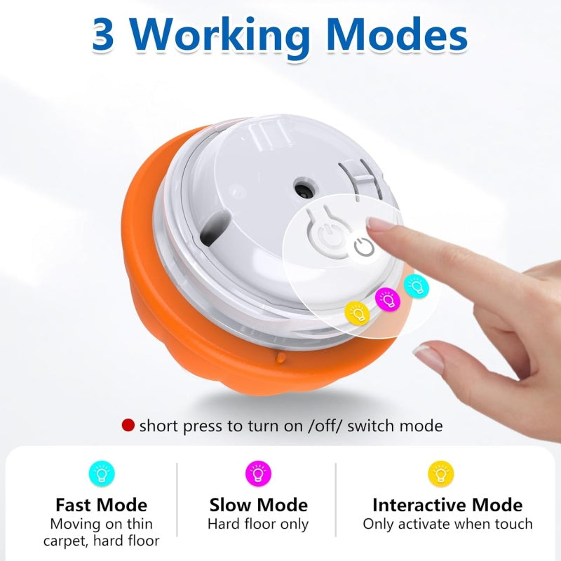 7 Reasons This Smart Interactive Ball Is Changing Dogs’ Lives — Happy, Active & Calm