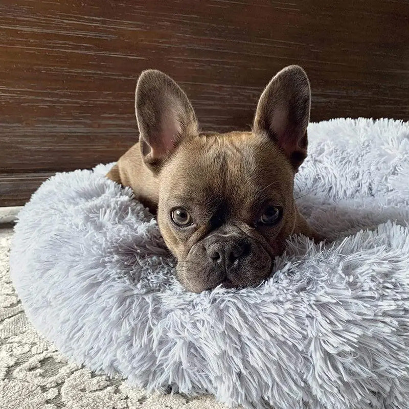 Cozy Anti-Anxiety Pet Bed