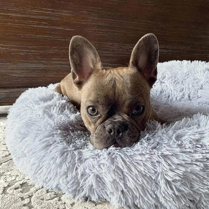 Cozy Anti-Anxiety Pet Bed