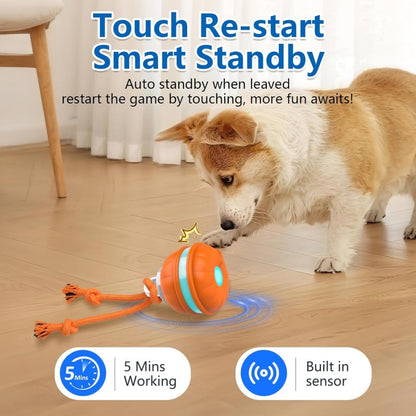 7 Reasons This Smart Interactive Ball Is Changing Dogs’ Lives — Happy, Active & Calm