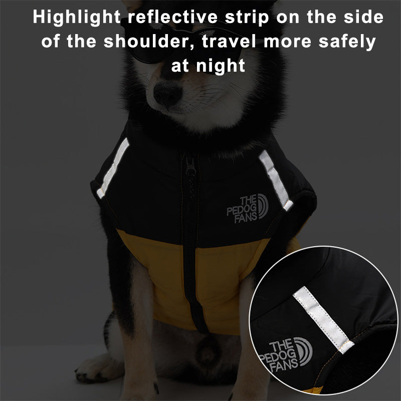 Padded Winter Coat Jacket