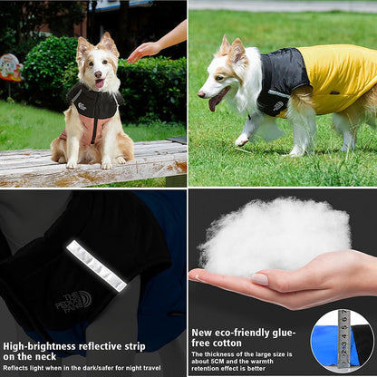 Padded Winter Coat Jacket