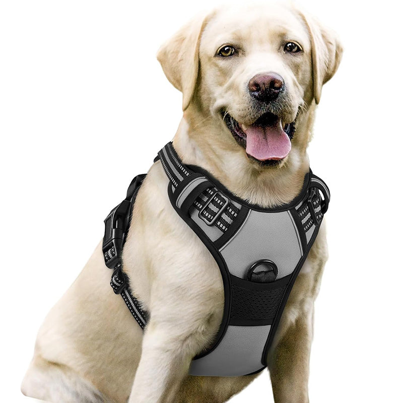 No Pull Dog Harness with  A Free Heavy Duty 5ft Dog Leash