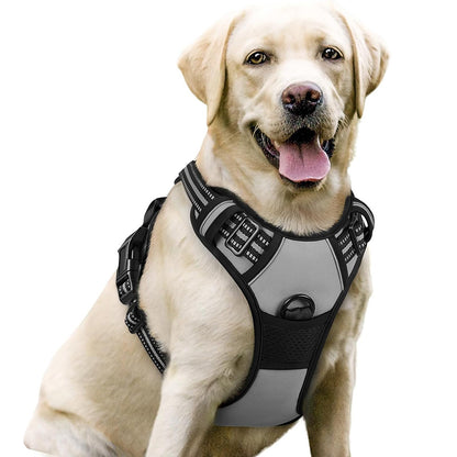 No Pull Dog Harness with  A Free Heavy Duty 5ft Dog Leash