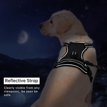 No Pull Dog Harness with  A Free Heavy Duty 5ft Dog Leash