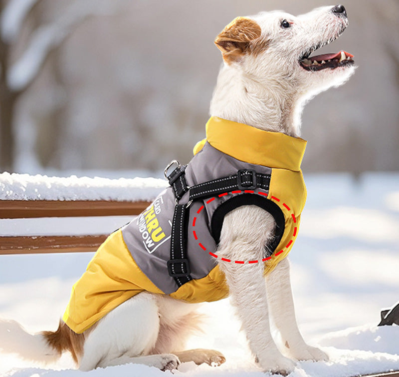 Graphene-Lined Dog Winter Vest – Waterproof, Lightweight & Adjustable Harness Design