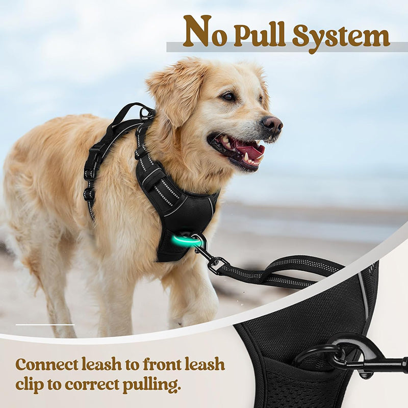 No Pull Dog Harness with  A Free Heavy Duty 5ft Dog Leash