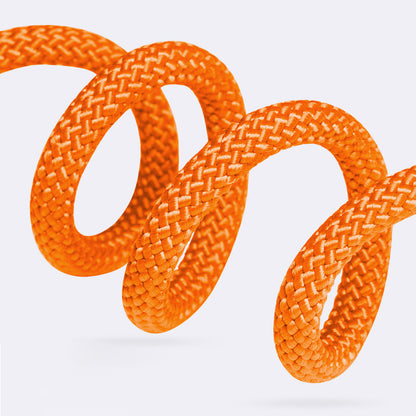 PRO Training Slip Lead (P-Rope)– 360° Anti-Tangle Swivel | Includes FREE Poop Bag Holder