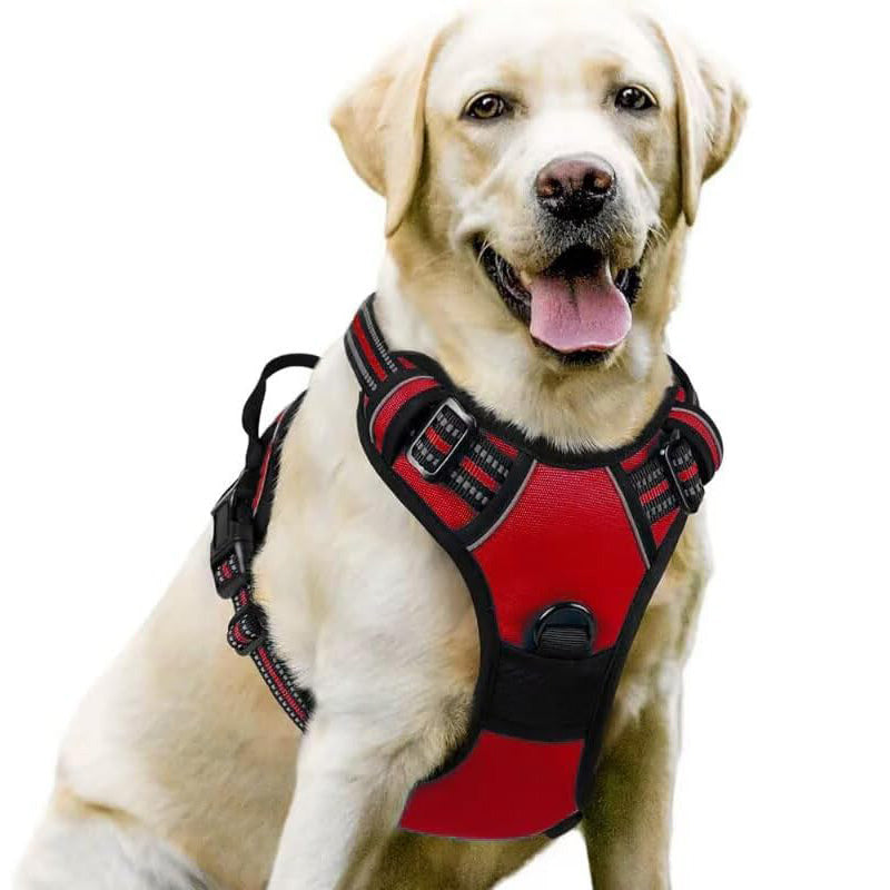 No Pull Dog Harness with  A Free Heavy Duty 5ft Dog Leash