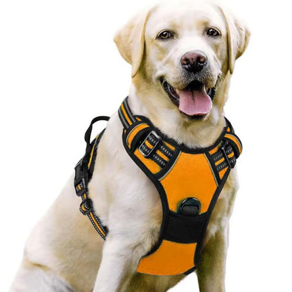 No Pull Dog Harness with  A Free Heavy Duty 5ft Dog Leash