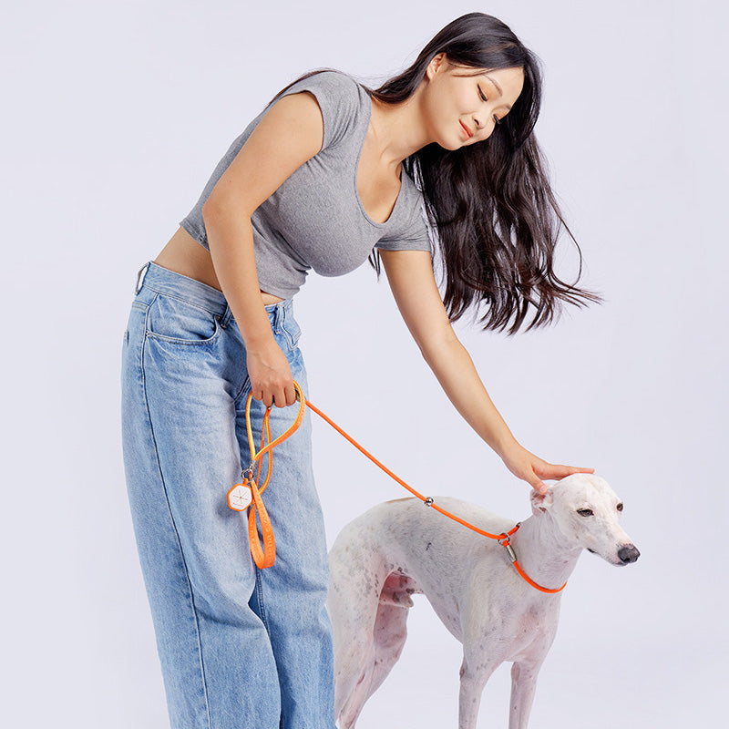 PRO Training Slip Lead (P-Rope)– 360° Anti-Tangle Swivel | Includes FREE Poop Bag Holder