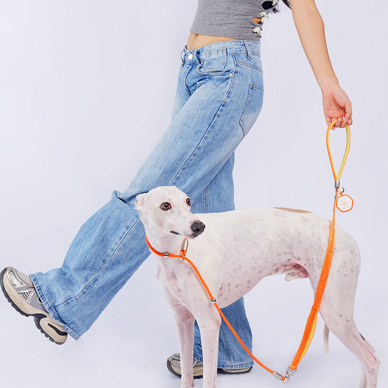 PRO Training Slip Lead (P-Rope)– 360° Anti-Tangle Swivel | Includes FREE Poop Bag Holder