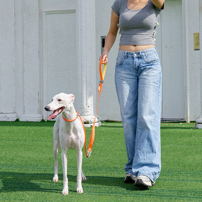 PRO Training Slip Lead (P-Rope)– 360° Anti-Tangle Swivel | Includes FREE Poop Bag Holder