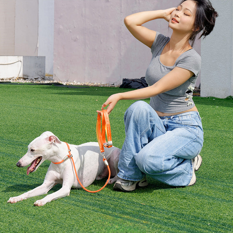 PRO Training Slip Lead (P-Rope)– 360° Anti-Tangle Swivel | Includes FREE Poop Bag Holder