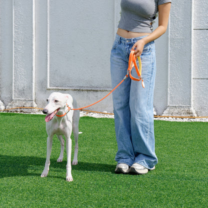 PRO Training Slip Lead (P-Rope)– 360° Anti-Tangle Swivel | Includes FREE Poop Bag Holder