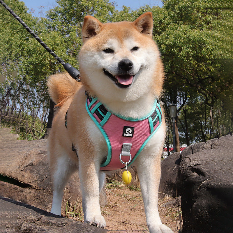 New Upgraded Reflective Soft Mesh Dog Harness - Step-in Anti-Slip Adjustable Padded for Outdoor Walking
