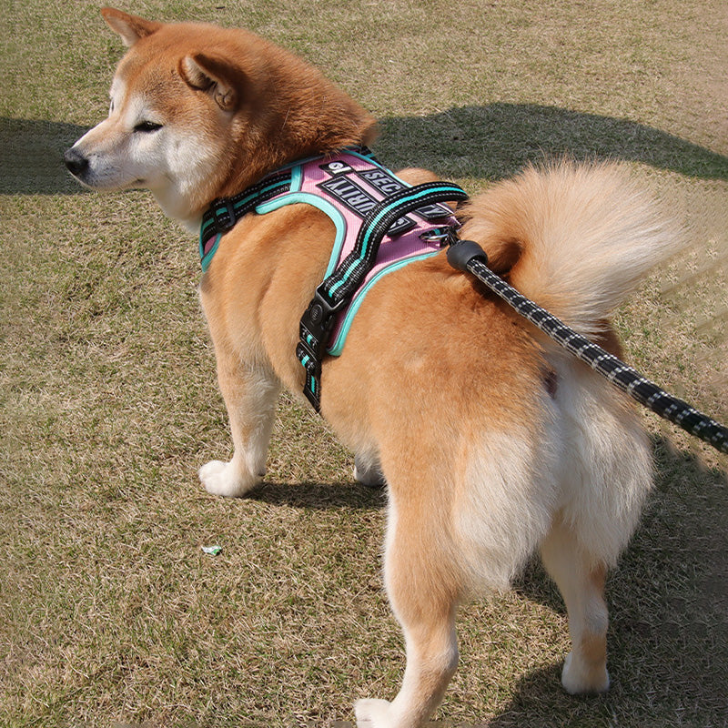 New Upgraded Reflective Soft Mesh Dog Harness - Step-in Anti-Slip Adjustable Padded for Outdoor Walking