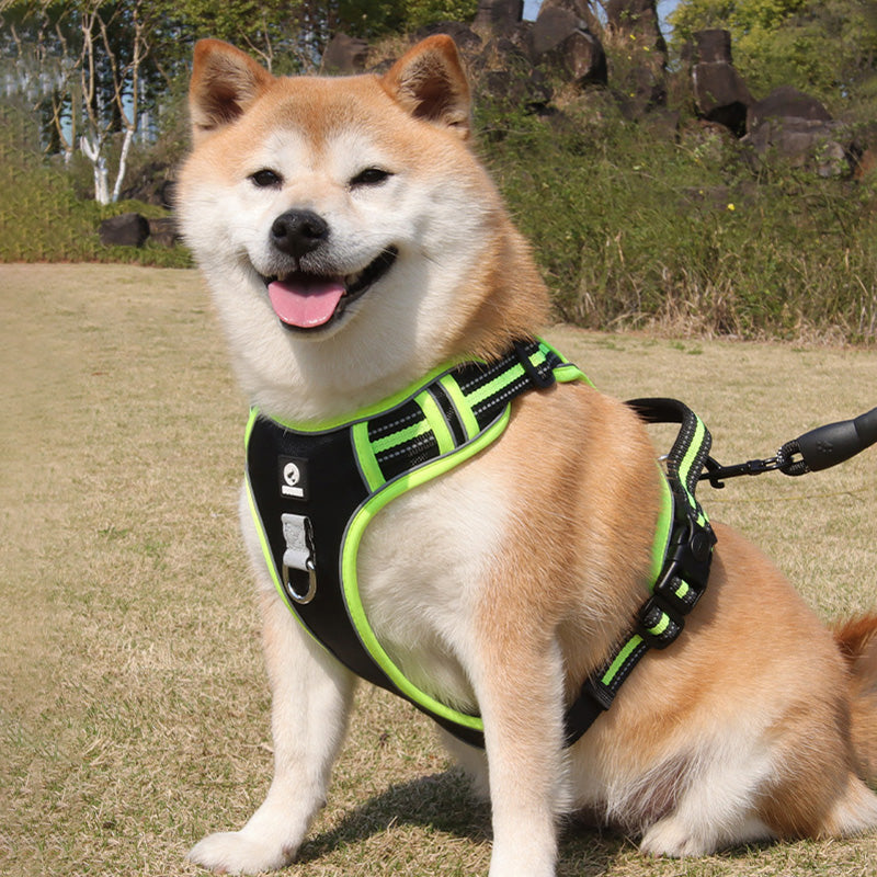 New Upgraded Reflective Soft Mesh Dog Harness - Step-in Anti-Slip Adjustable Padded for Outdoor Walking