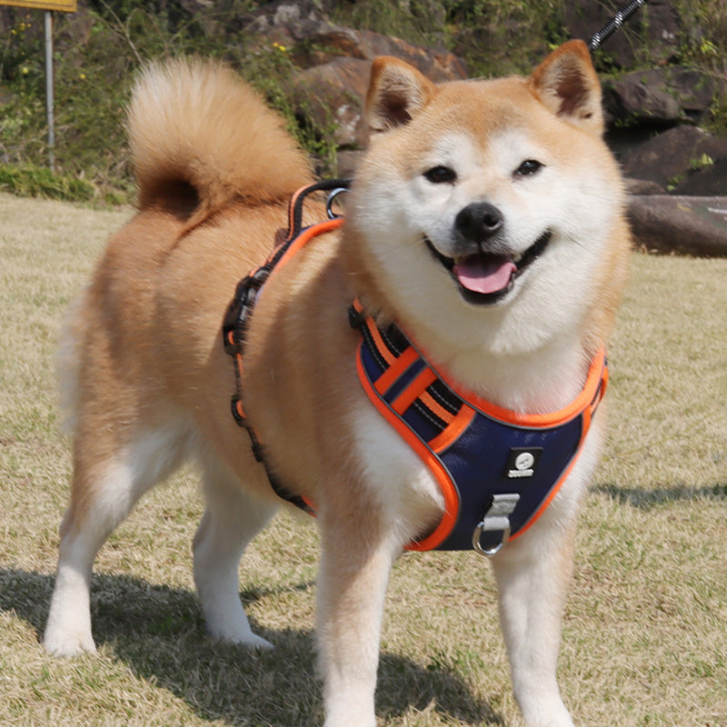 New Upgraded Reflective Soft Mesh Dog Harness - Step-in Anti-Slip Adjustable Padded for Outdoor Walking