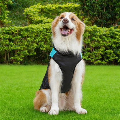 Warm Padded Dog Winter Jacket