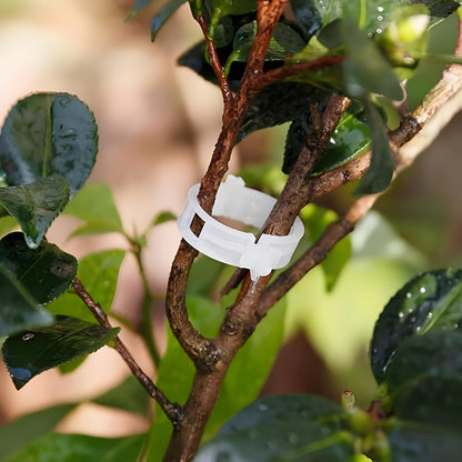 Plant Support Clips