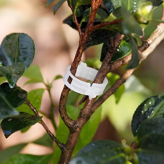 Plant Support Clips