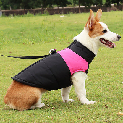 Warm Padded Dog Winter Jacket