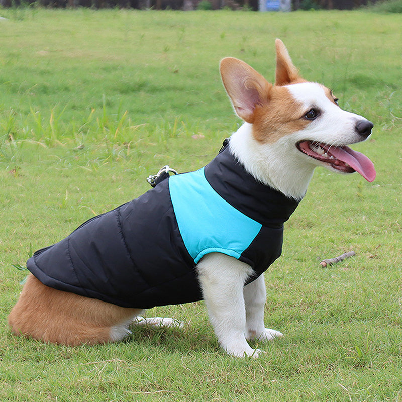Warm Padded Dog Winter Jacket