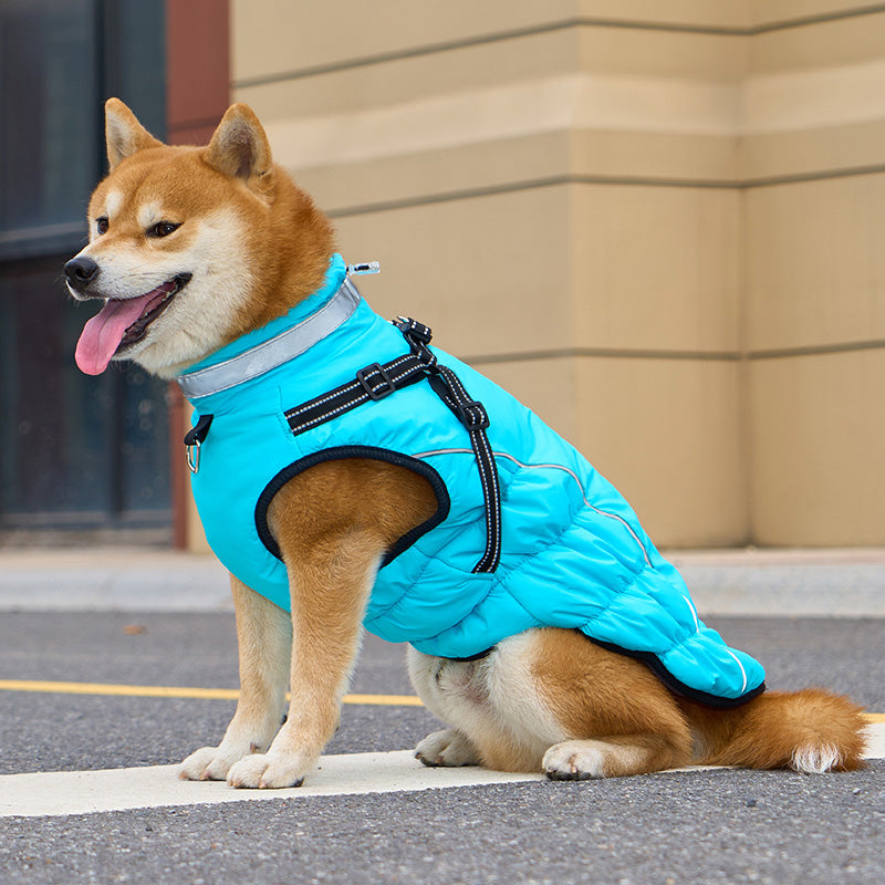 Adjustable Winter Dog Coat – Warm, Waterproof & Reflective