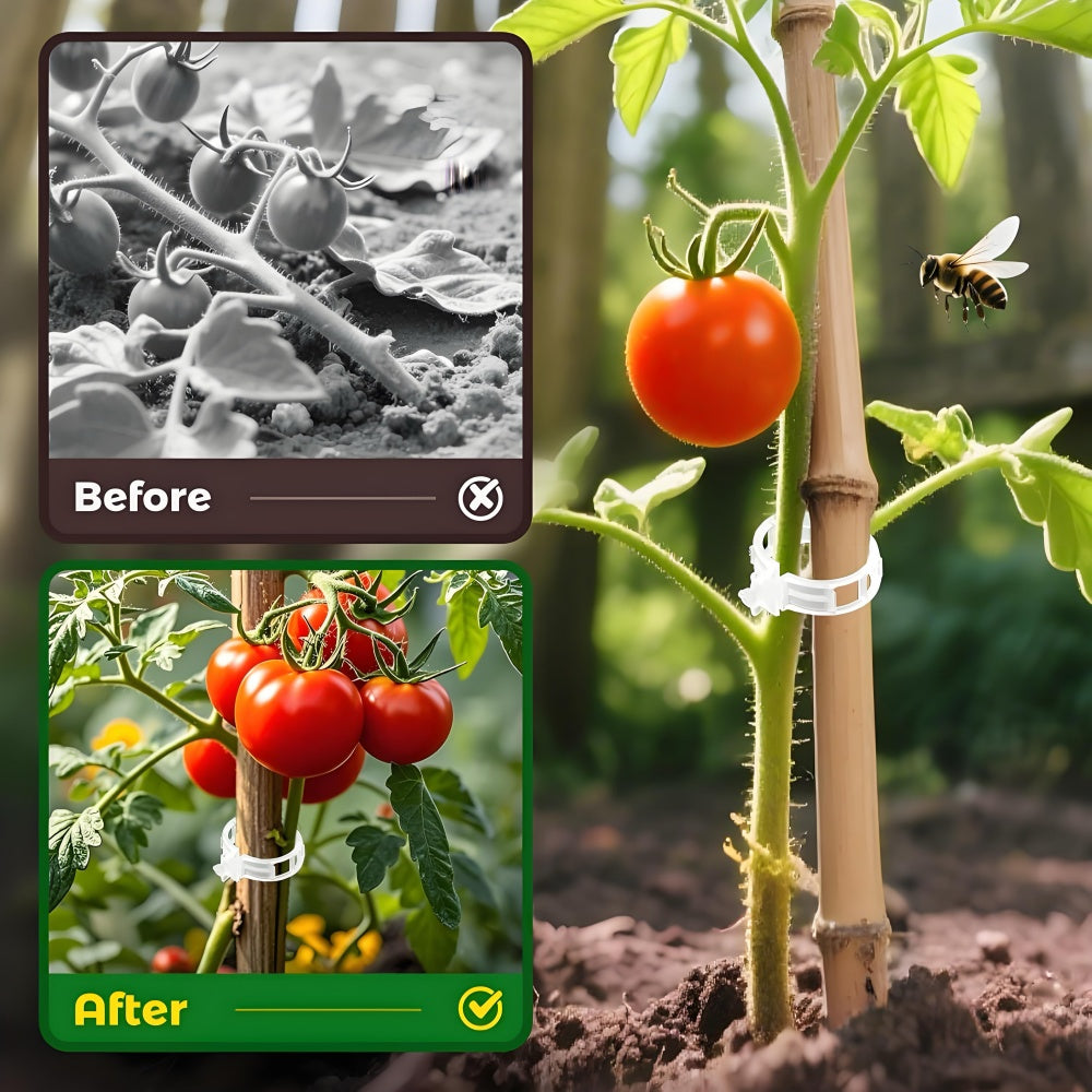 Plant Support Clips