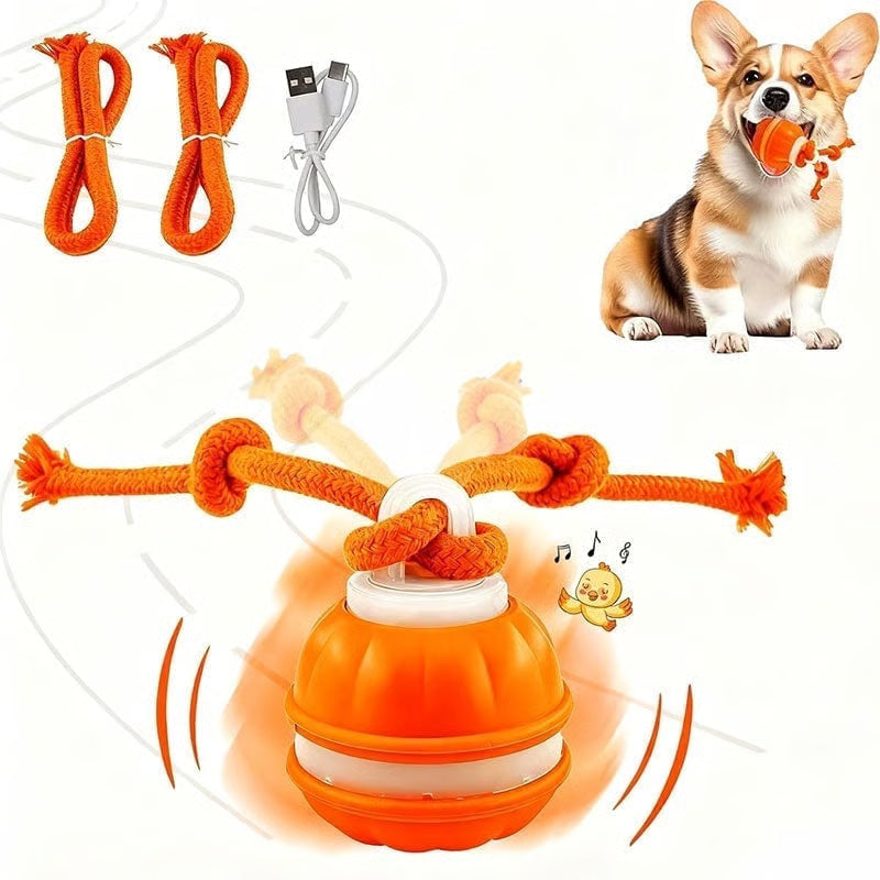 7 Reasons This Smart Interactive Ball Is Changing Dogs’ Lives — Happy, Active & Calm