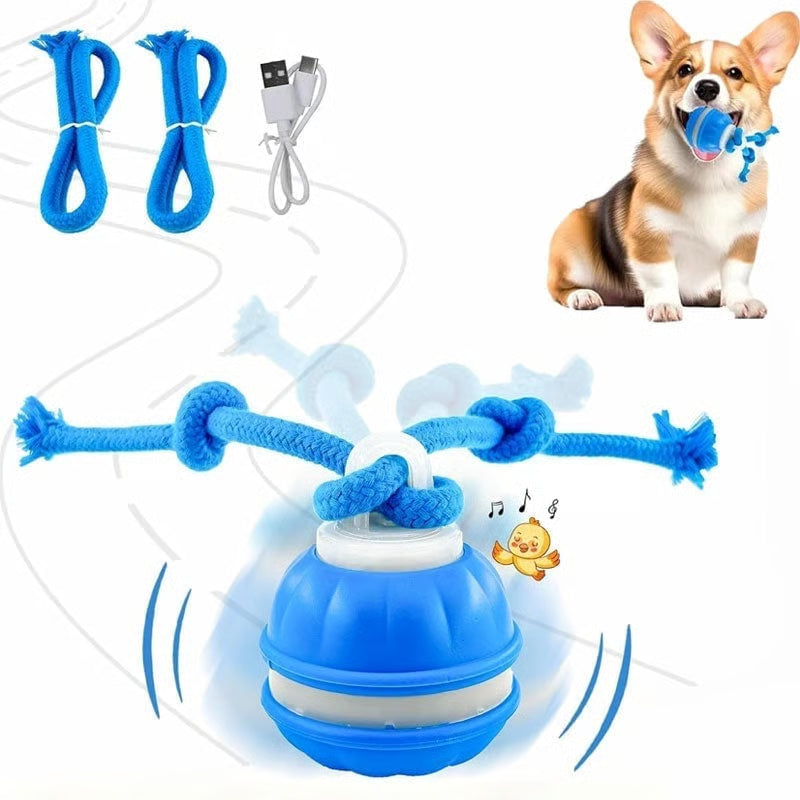 7 Reasons This Smart Interactive Ball Is Changing Dogs’ Lives — Happy, Active & Calm