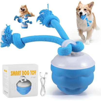 7 Reasons This Smart Interactive Ball Is Changing Dogs’ Lives — Happy, Active & Calm