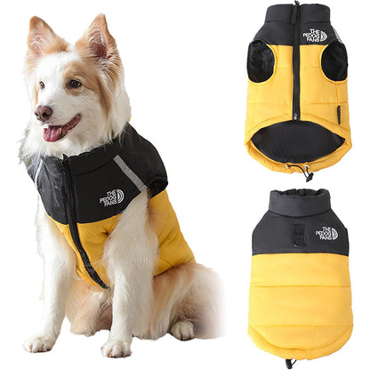 Padded Winter Coat Jacket