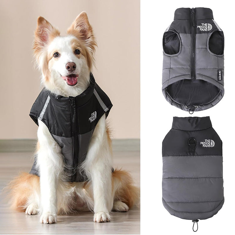 Padded Winter Coat Jacket