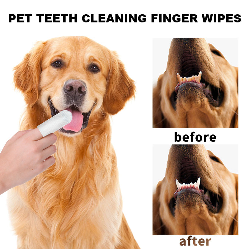 Pet Dental Finger Wipes
